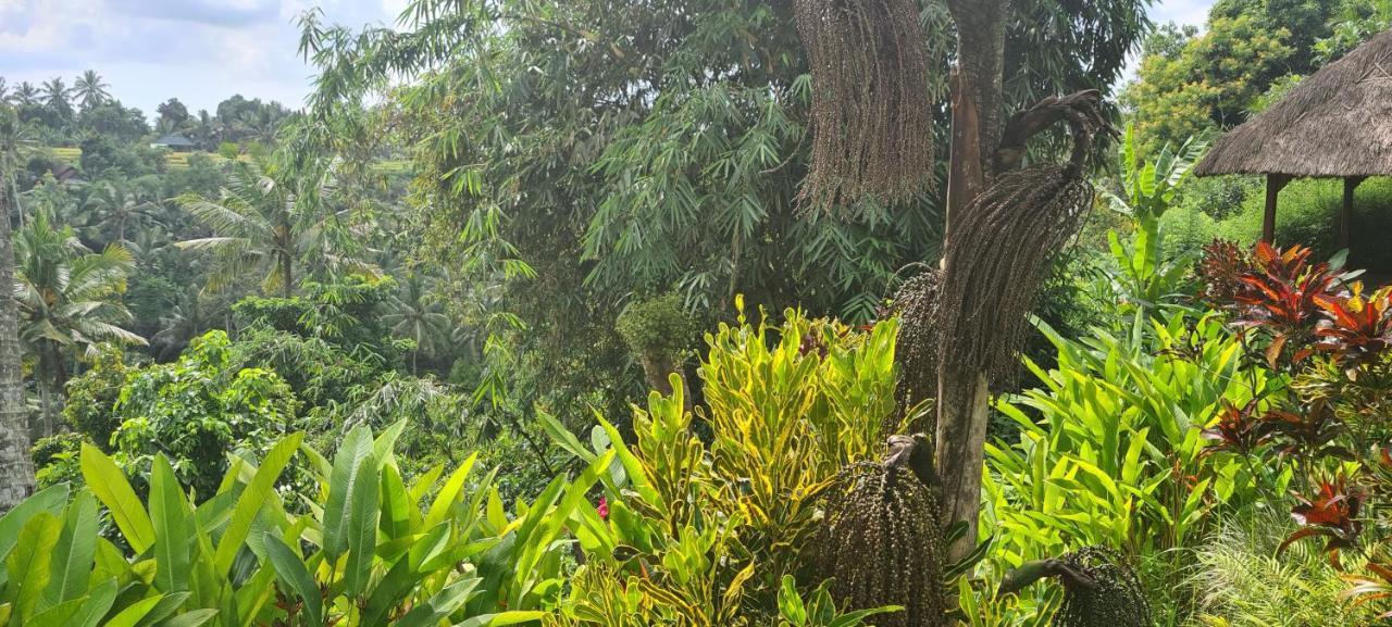 Rumah Sungai Villa Ubud Exteriör bild