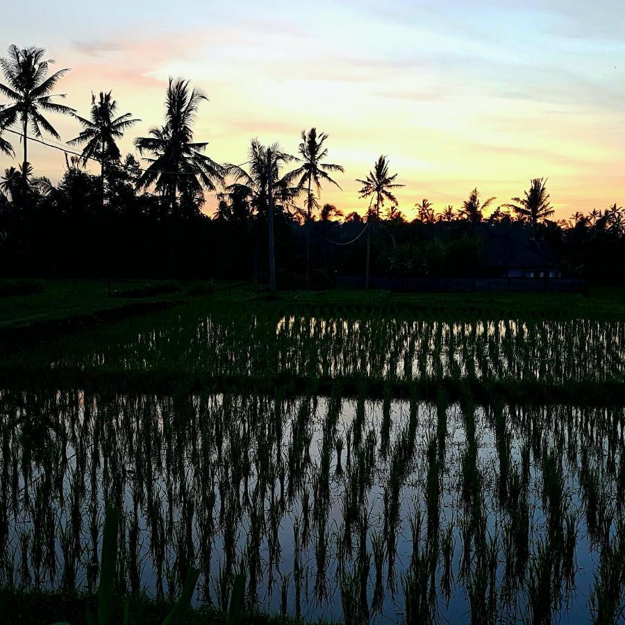 Rumah Sungai Villa Ubud Exteriör bild