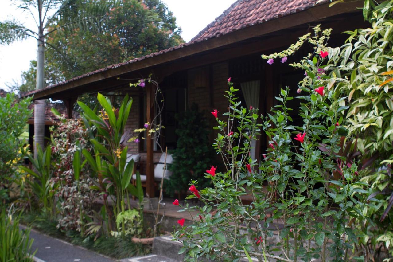 Rumah Sungai Villa Ubud Exteriör bild