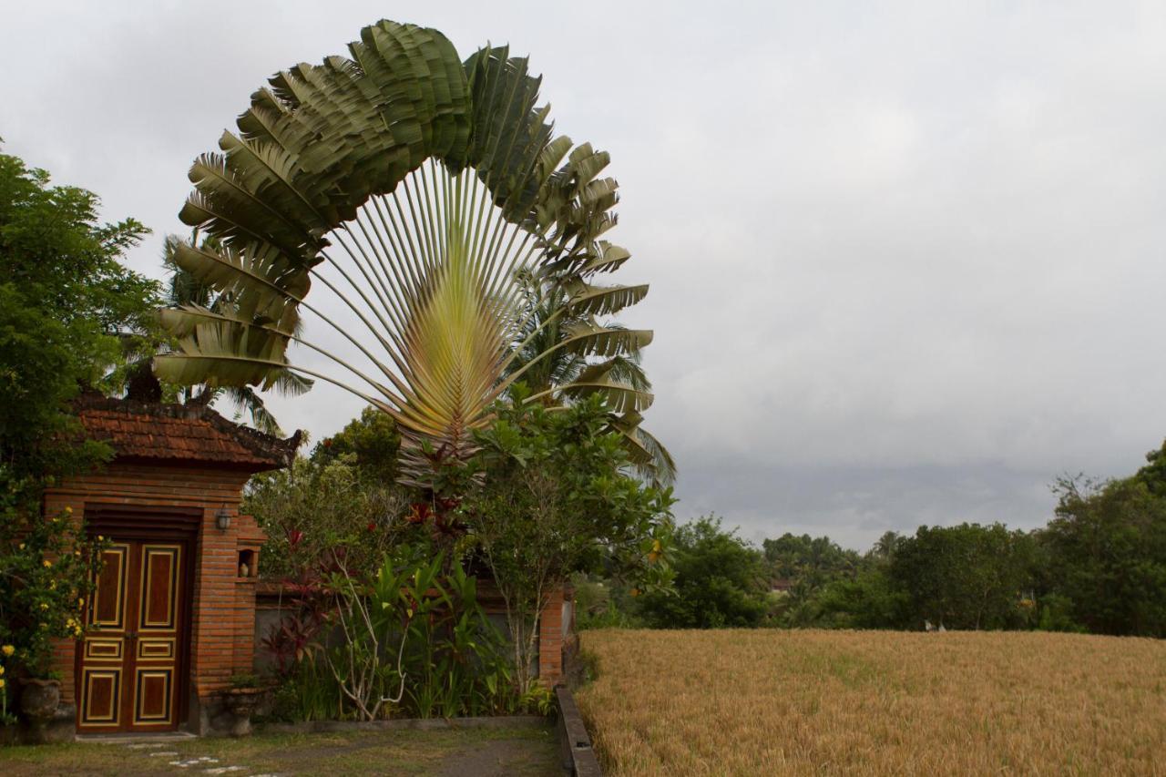 Rumah Sungai Villa Ubud Exteriör bild