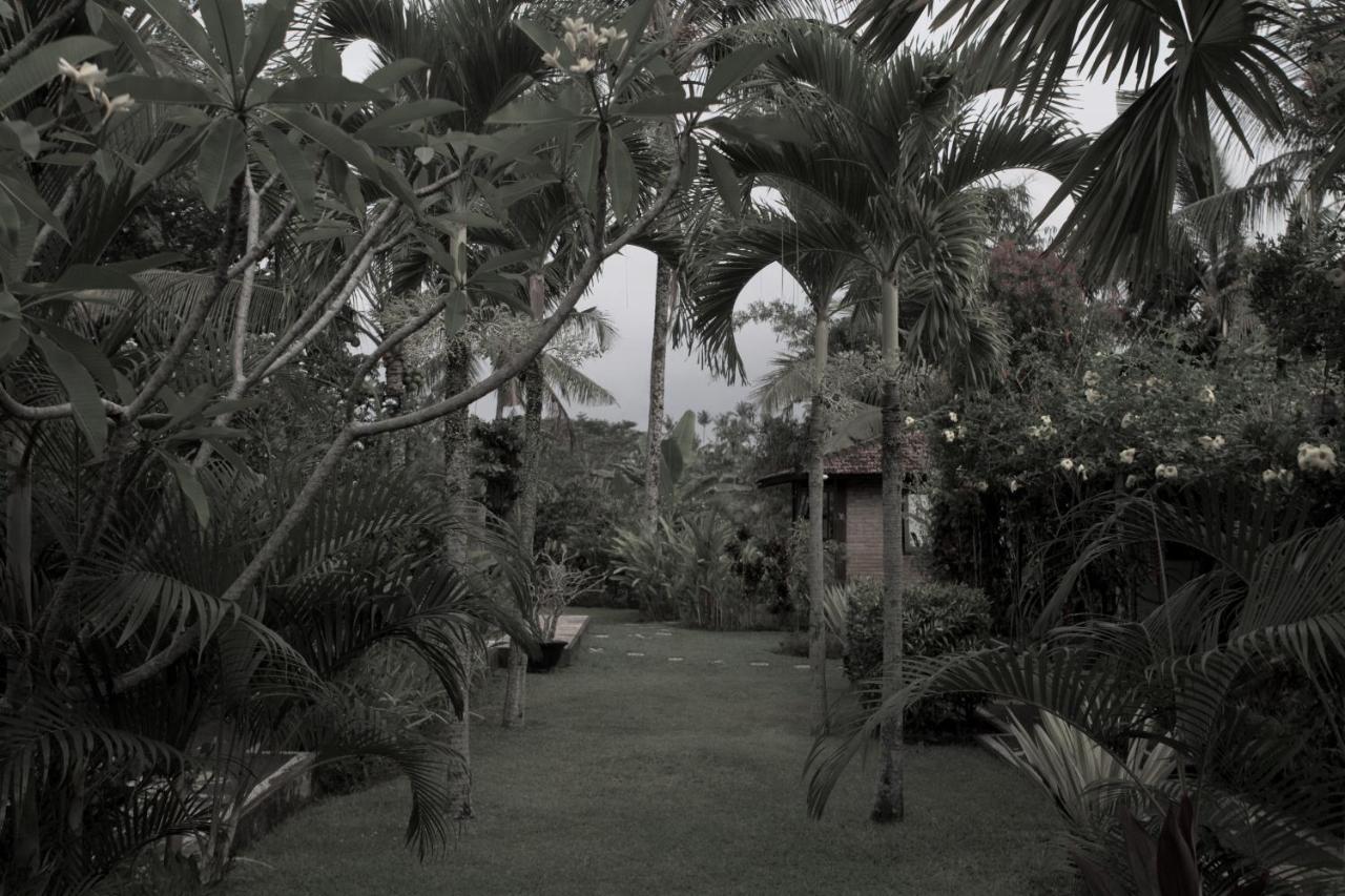 Rumah Sungai Villa Ubud Exteriör bild