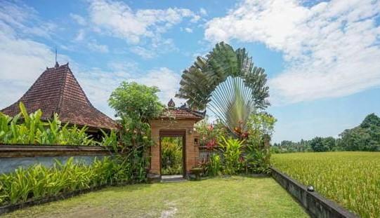 Rumah Sungai Villa Ubud Exteriör bild