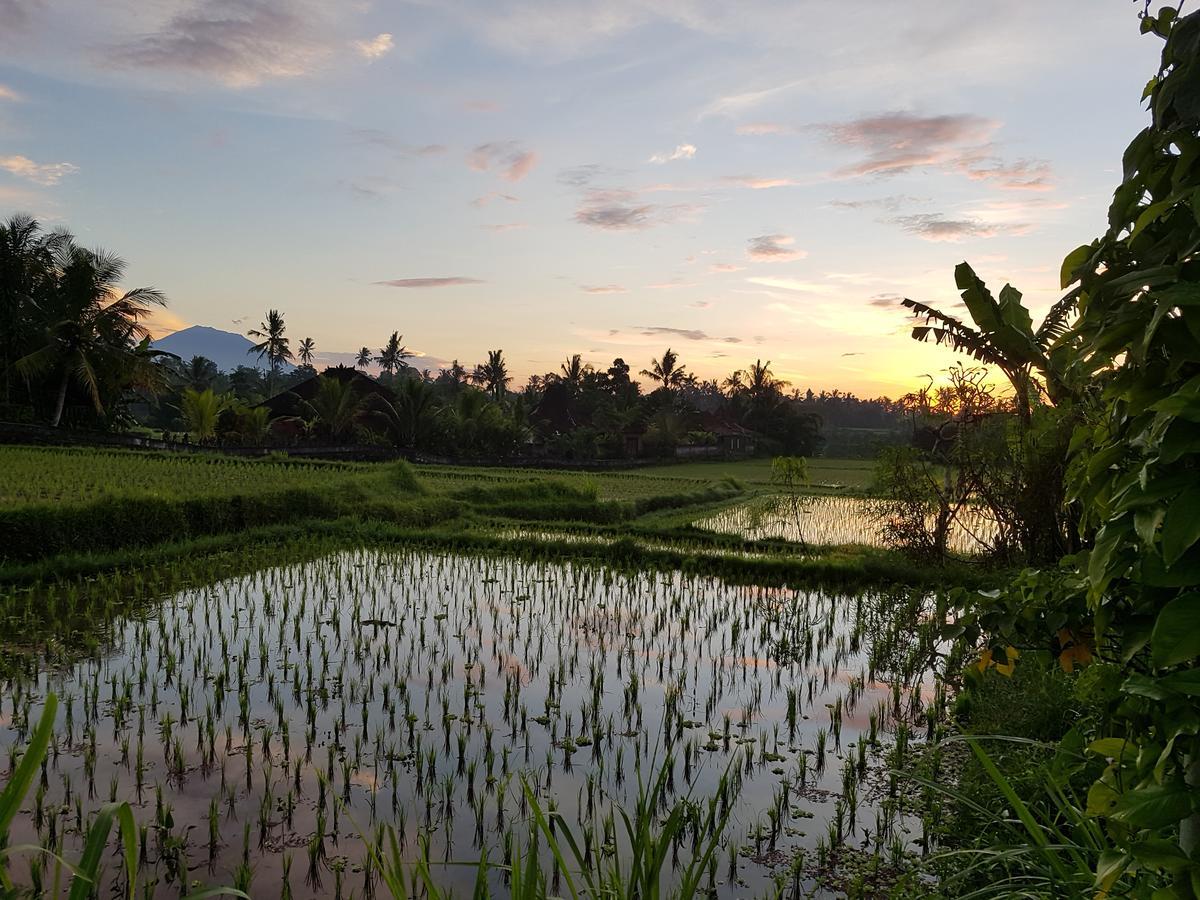 Rumah Sungai Villa Ubud Exteriör bild