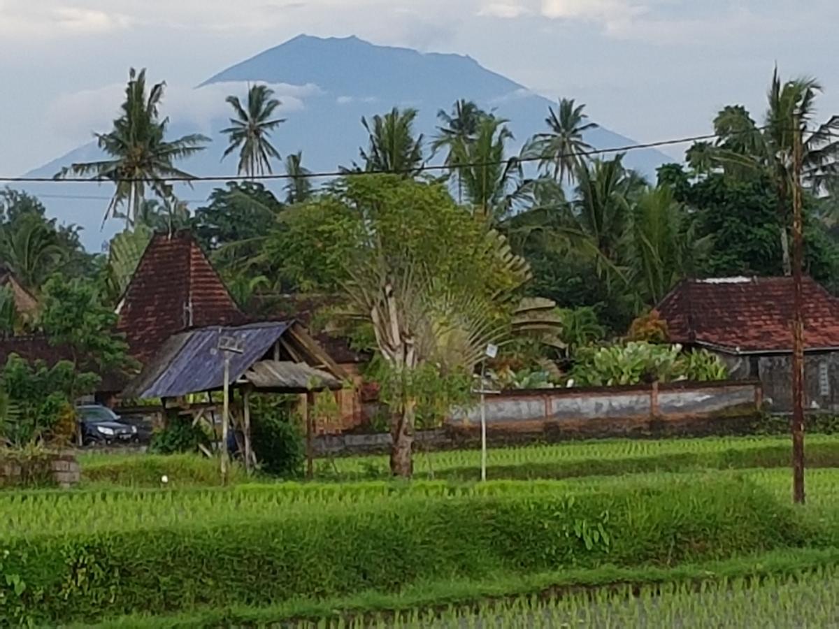 Rumah Sungai Villa Ubud Exteriör bild